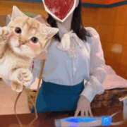 ヒメ日記 2025/04/21 13:18 投稿 ののか モアグループ春日部人妻城