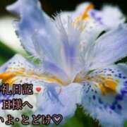 ヒメ日記 2025/05/31 12:33 投稿 ののか モアグループ春日部人妻城