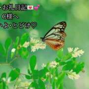 ヒメ日記 2025/05/31 19:18 投稿 ののか モアグループ春日部人妻城