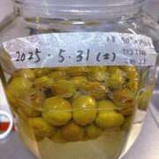 ヒメ日記 2025/06/08 17:18 投稿 ののか モアグループ春日部人妻城