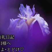 ヒメ日記 2025/06/10 17:27 投稿 ののか モアグループ春日部人妻城