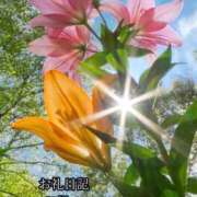 ヒメ日記 2025/06/11 19:33 投稿 ののか モアグループ春日部人妻城