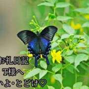 ヒメ日記 2025/06/12 17:18 投稿 ののか モアグループ春日部人妻城