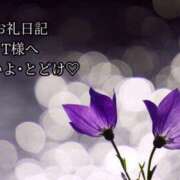 ヒメ日記 2025/06/14 14:18 投稿 ののか モアグループ春日部人妻城