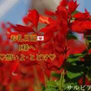 ヒメ日記 2025/06/27 16:24 投稿 ののか モアグループ春日部人妻城