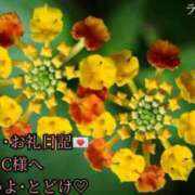 ヒメ日記 2025/06/28 14:18 投稿 ののか モアグループ春日部人妻城