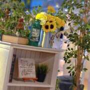 ヒメ日記 2025/07/20 15:27 投稿 ののか モアグループ春日部人妻城