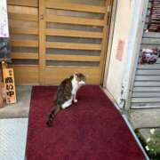 ヒメ日記 2025/08/01 15:24 投稿 ののか モアグループ春日部人妻城