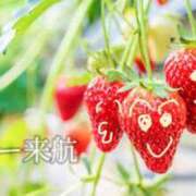 ヒメ日記 2025/09/03 10:06 投稿 ののか モアグループ春日部人妻城