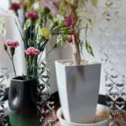 ヒメ日記 2025/11/23 10:18 投稿 ののか モアグループ春日部人妻城