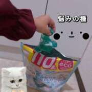 ヒメ日記 2025/11/26 10:18 投稿 ののか モアグループ春日部人妻城