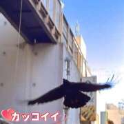 ヒメ日記 2025/11/30 16:18 投稿 ののか モアグループ春日部人妻城