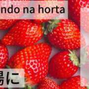 ヒメ日記 2026/01/09 08:42 投稿 ののか モアグループ春日部人妻城