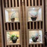 ヒメ日記 2026/03/23 10:48 投稿 ののか モアグループ春日部人妻城