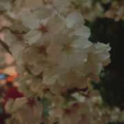 ヒメ日記 2026/03/30 12:20 投稿 ののか モアグループ春日部人妻城