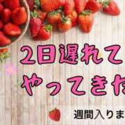 ヒメ日記 2026/05/08 08:48 投稿 ののか モアグループ春日部人妻城