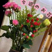 ヒメ日記 2026/05/24 12:36 投稿 ののか モアグループ春日部人妻城