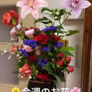 ヒメ日記 2026/06/09 09:01 投稿 ののか モアグループ春日部人妻城