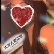 ヒメ日記 2026/07/31 23:28 投稿 ののか モアグループ春日部人妻城