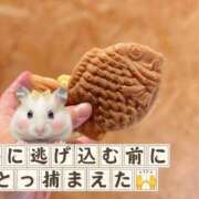 ヒメ日記 2026/08/13 16:10 投稿 ののか モアグループ春日部人妻城