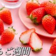 ヒメ日記 2026/09/23 11:04 投稿 ののか モアグループ春日部人妻城