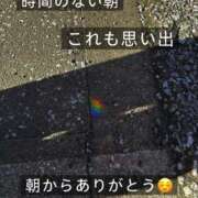 ヒメ日記 2026/10/08 08:14 投稿 ののか モアグループ春日部人妻城