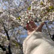 ヒメ日記 2025/04/15 16:48 投稿 まり 錦糸町ぽちゃカワ女子専門店！我慢できないの！
