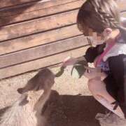 ヒメ日記 2024/12/11 20:27 投稿 めい マリン宮殿水戸店