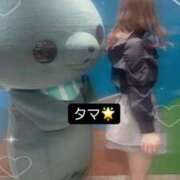 ヒメ日記 2025/01/25 11:48 投稿 めい マリン宮殿水戸店