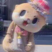 ヒメ日記 2025/03/25 17:46 投稿 めい マリン宮殿水戸店