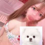 ヒメ日記 2025/12/29 22:12 投稿 めい マリン宮殿水戸店