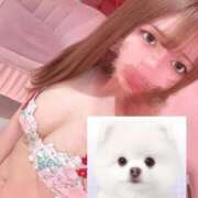 ヒメ日記 2025/12/29 22:24 投稿 めい マリン宮殿水戸店