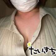 ヒメ日記 2025/04/07 14:01 投稿 ゆい 長野飯田ちゃんこ