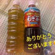 ヒメ日記 2025/07/29 18:21 投稿 ゆい 長野飯田ちゃんこ