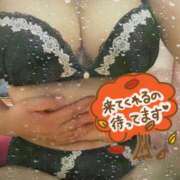 ヒメ日記 2025/10/13 12:21 投稿 ゆい 長野飯田ちゃんこ