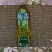 ヒメ日記 2025/11/04 16:51 投稿 ゆい 長野飯田ちゃんこ