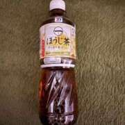 ヒメ日記 2025/12/10 11:58 投稿 ゆい 長野飯田ちゃんこ