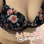 ヒメ日記 2026/03/21 12:51 投稿 ゆい 長野飯田ちゃんこ