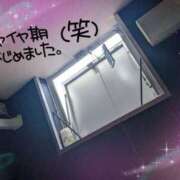 ヒメ日記 2026/02/07 08:00 投稿 かな TSUBAKI(つばき)土浦店