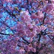 ヒメ日記 2025/03/09 18:36 投稿 沙也香 モアグループ所沢人妻城