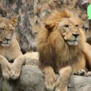 ヒメ日記 2025/03/22 13:42 投稿 沙也香 モアグループ所沢人妻城