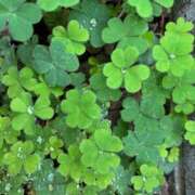 ヒメ日記 2025/06/15 22:06 投稿 沙也香 モアグループ所沢人妻城