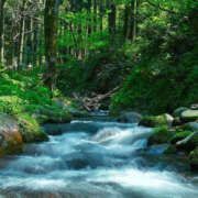 ヒメ日記 2025/06/18 22:33 投稿 沙也香 モアグループ所沢人妻城