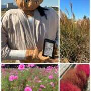 ヒメ日記 2025/09/20 16:18 投稿 沙也香 モアグループ所沢人妻城