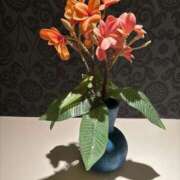 ヒメ日記 2025/11/19 14:27 投稿 沙也香 モアグループ所沢人妻城