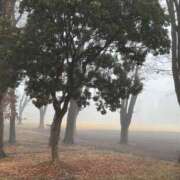 ヒメ日記 2025/12/28 20:18 投稿 沙也香 モアグループ所沢人妻城