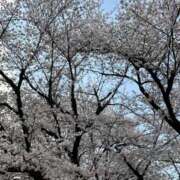 ヒメ日記 2026/04/14 19:51 投稿 沙也香 モアグループ所沢人妻城