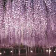 ヒメ日記 2026/04/16 21:06 投稿 沙也香 モアグループ所沢人妻城