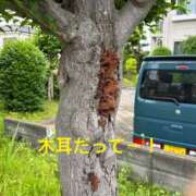 ヒメ日記 2026/05/27 15:51 投稿 沙也香 モアグループ所沢人妻城