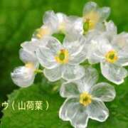 ヒメ日記 2026/06/12 22:27 投稿 沙也香 モアグループ所沢人妻城